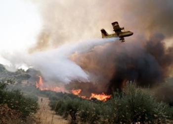 Φωτιά μαίνεται σε δασική έκταση στη Σκόπελο – Στο σημείο επιχειρούν επίγεια και εναέρια μέσα