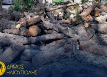Δωρεάν ξύλα για το τζάκι από το Δήμο Ηλιούπολης