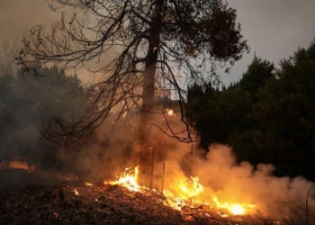 Φωτιά στη Δαδιά: Εκτός κινδύνου το χωριό – Στην εθνική οδό κατευθύνονται οι φλόγες