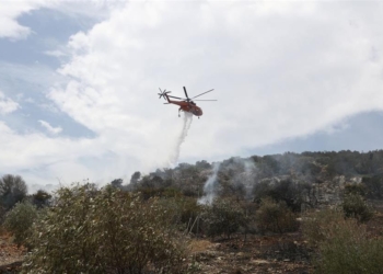 Έβρος: Προληπτική εκκένωση του χωριού Δαδιά, καθώς η πυρκαγιά βρίσκεται σε κοντινή απόσταση