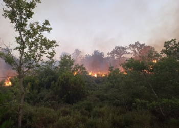 Πυρκαγιά σε χαμηλή βλάστηση στον Σκαραμαγκά Αττικής