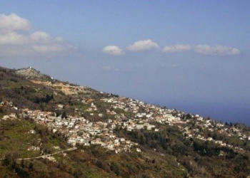 Στον δήμο Αρριανών ο πρώτος συνεταιρισμός παραγωγών στέβιας