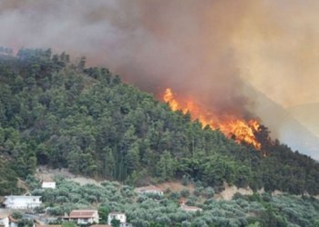 Ολονύχτια μάχη με τις φλόγες στο Άγιον Όρος, μαίνεται η φωτιά
