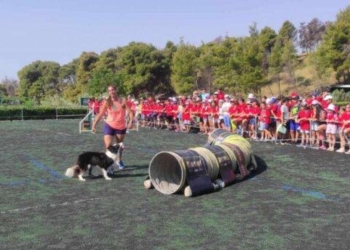 Δήμος Αχαρνών: Τα παιδιά από το “Καλοκαίρι στην πόλη 2023” ενημερώθηκαν για τη φροντίδα και την εκπαίδευση σκύλων