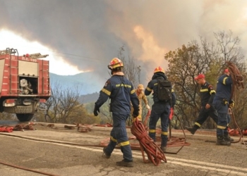 Στο μέτωπο της Δαδιάς εστιάζουν στον Έβρο οι δυνάμεις πυρόσβεσης