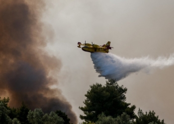 Πυρκαγιά από κεραυνό στο Γραμματικό του Μαραθώνα – Σηκώθηκαν και εναέρια μέσα