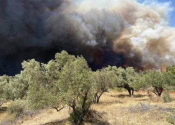 Φωτιά σε δασική έκταση στη Λακωνία