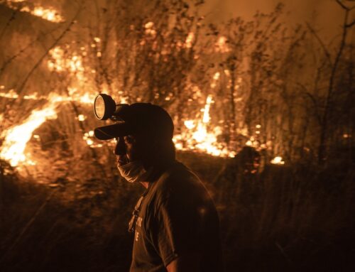Μεξικό: Τέσσερις νεκροί από τις δασικές πυρκαγιές που μαίνονται στη χώρα
