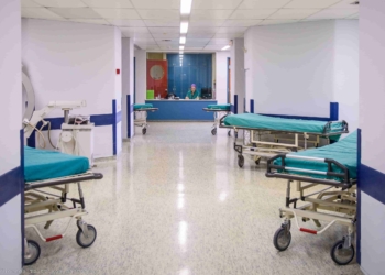 Για πρώτη φορά μεταμοσχεύθηκε νεφρός σε ασθενή ενός γενετικά τροποποιημένου… ζώου