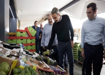 Μητσοτάκης: Ενθαρρυντικά δείγματα μείωσης του πληθωρισμού (βίντεο)