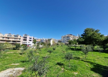 Δενδροφυτεύσεις σε δύο λόφους του Αλίμου χάρη στην πρωτοβουλία «75UN – 75 Trees UNAI SDG7»