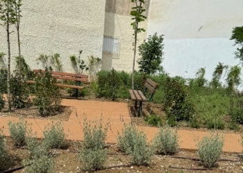 Θεσσαλονίκη: Δημιουργήθηκε νέο «πάρκο τσέπης» με 456 αρωματικά φυτά και δέντρα