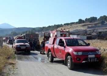 Όλα τα νεότερα από την πυρκαγιά στη Δάρδιζα Ερμιονίδας