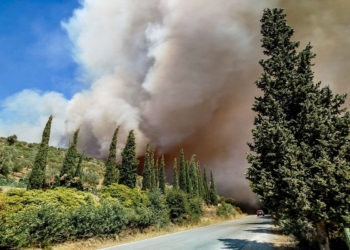 Πύρινος εφιάλτης στην Εύβοια (βίντεο – φωτογραφίες)