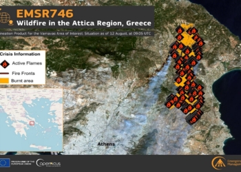 Copernicus: 85.000 στρέμματα έγιναν στάχτη