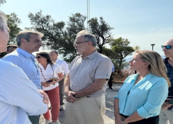 Ζωή Ράπτη: Άμεσες ενέργειες για την αναδάσωση του λόφου του Αστεροσκοπείου