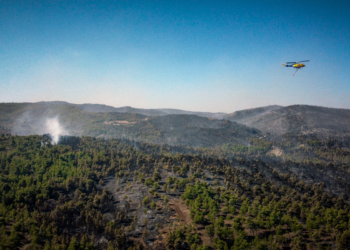 Πάνω από 9.500 στρέμματα κάηκαν στον Πισσώνα Ευβοίας