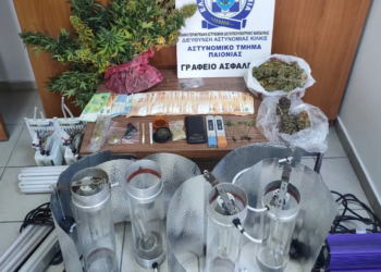 Σύλληψη για καλλιέργεια δενδρυλλίων κάνναβης