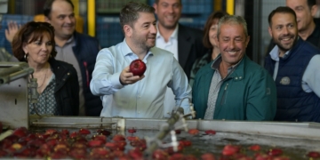 Ν. Ανδρουλάκης: «Χιλιάδες μικροϊδιοκτήτες ενώ είχαν οικόπεδα, βρέθηκαν με αγροτεμάχια. Άλλος ένας ερασιτεχνισμός της κυβέρνησης»